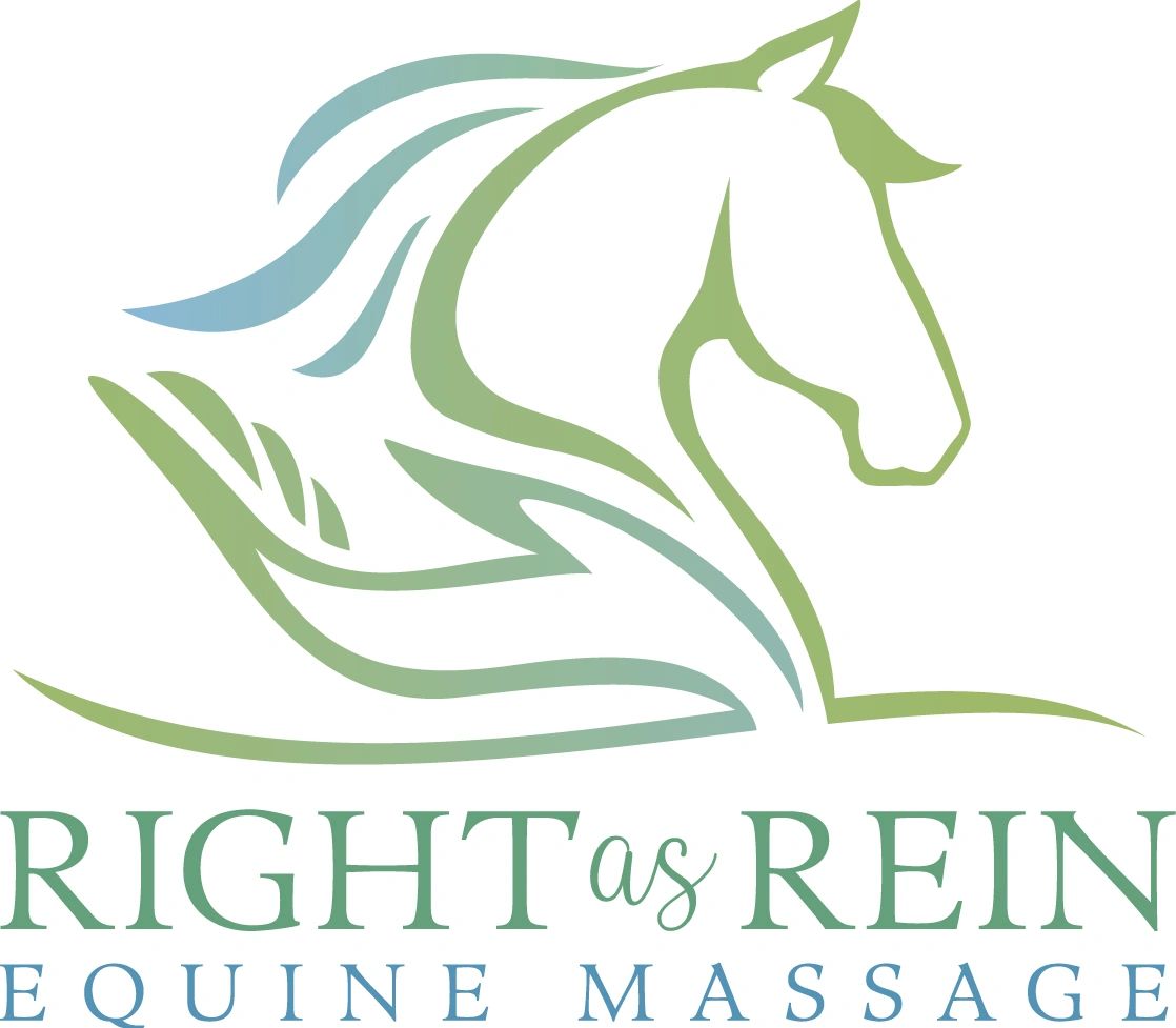 Right As Rein Equine Massage Equine Massage Edmonton, Alberta